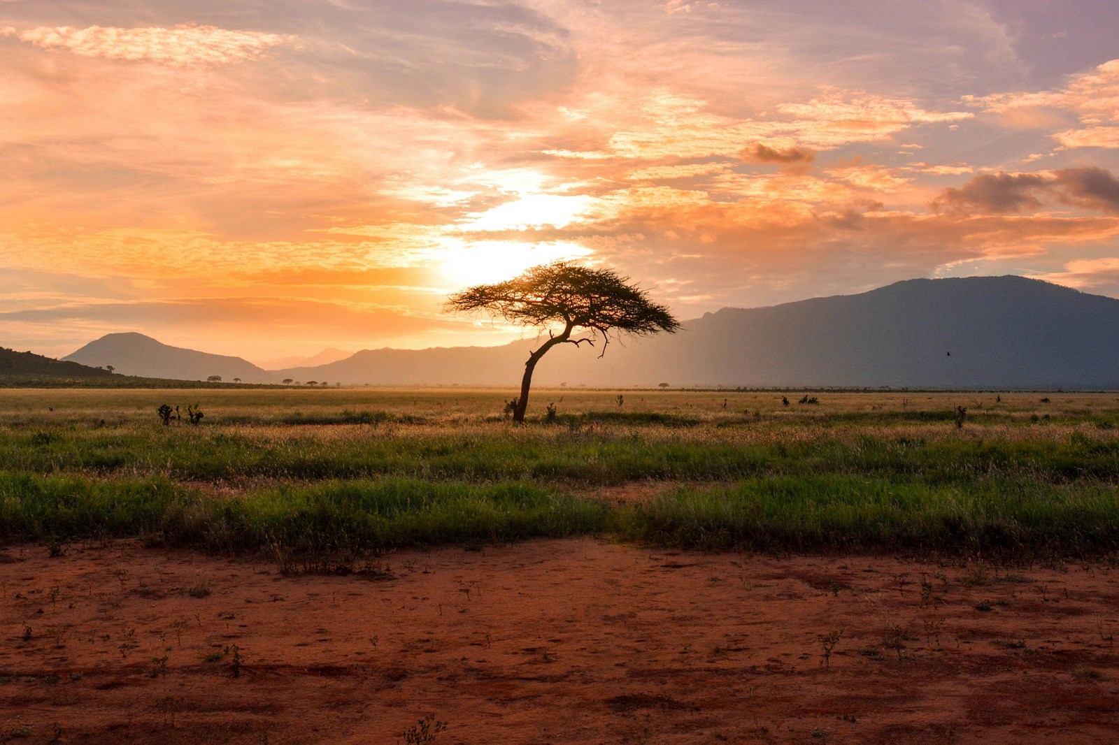 Voyage au Kenya